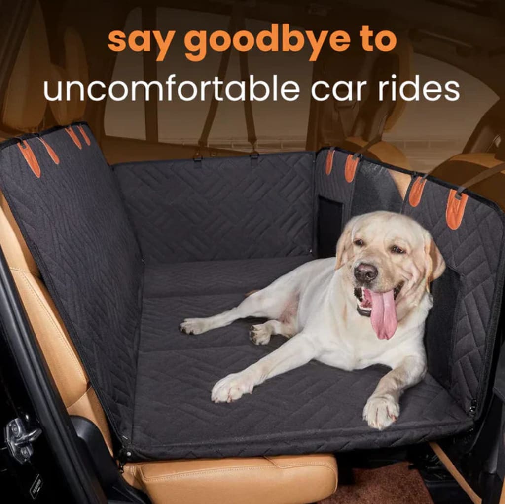 "Travel Freely, Love Unconditionally with Every Ride"